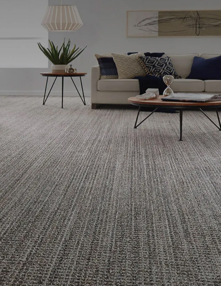 installed carpet flooring in home