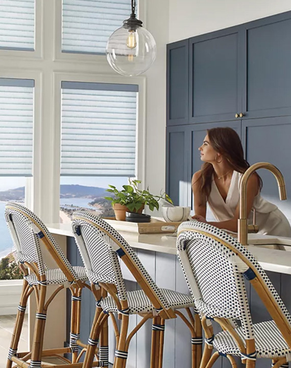 Horizontal window treatment