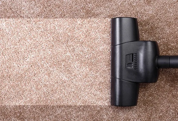 area-rug-img-daily-care-700-x-477-1 area-rug-img-daily-care-700-x-477-1